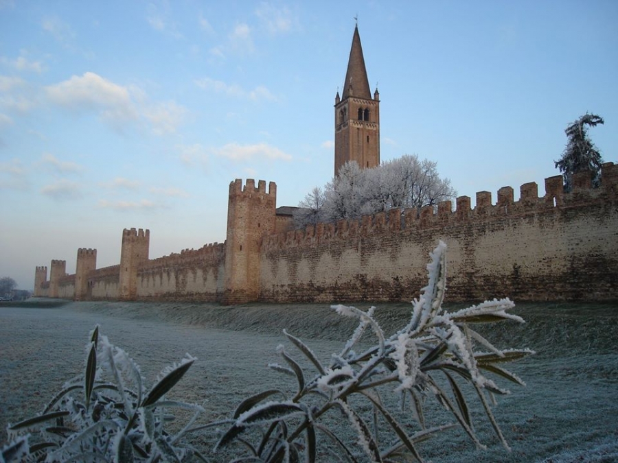 Visita guidata di Montagnana (PD)