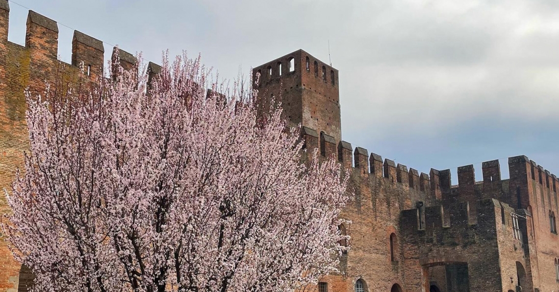 Visita alla scoperta del Mastio di Ezzelino