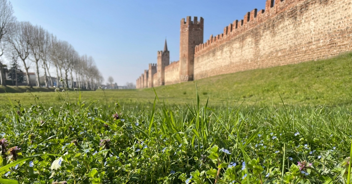 Visita guidata alla città murata di Montagnana