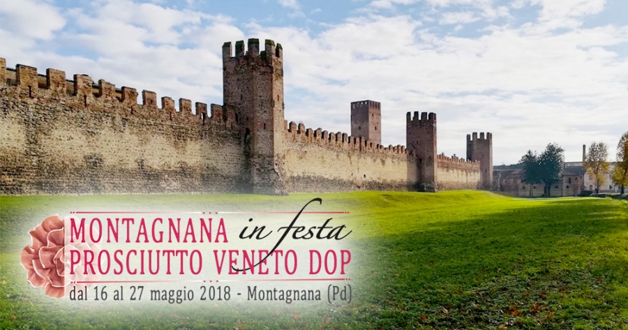 Visita guidata di Montagnana (PD)