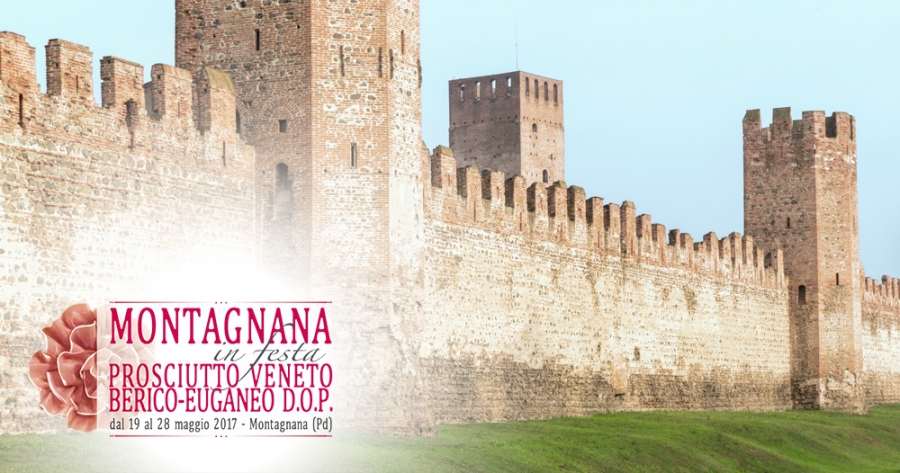 Visita guidata di Montagnana (PD)