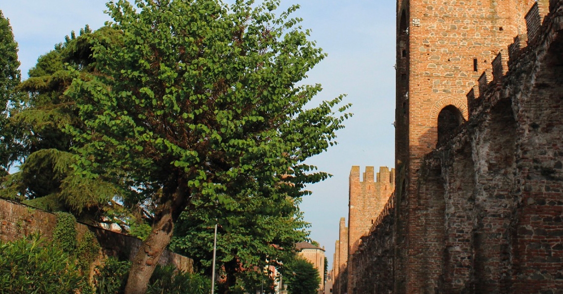 Visita guidata alla città di Montagnana